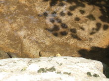 2009_0921_121134-DSCF0598.JPG
