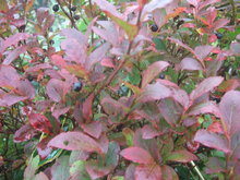 2009_0922_155926-DSCF0670.JPG