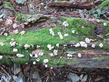 2010_0918_075150-DSCF4319.JPG