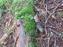 2010_0918_111909-DSCF4333.JPG