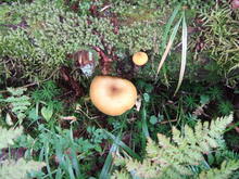 2010_0918_113556-DSCF4341.JPG