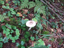 2010_0918_121545-DSCF4357.JPG