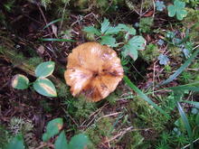 2010_0918_122522-DSCF4360.JPG