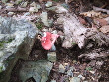 2010_0920_094735-DSCF4447.JPG