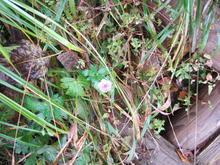 2010_1010_110156-DSCF4604.JPG