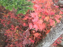 2010_1010_131942-DSCF4632.JPG