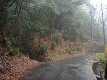 P4041240.jpg