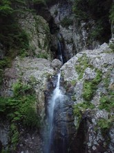 m02P9062011.jpg
