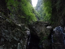 m05P9061980.jpg